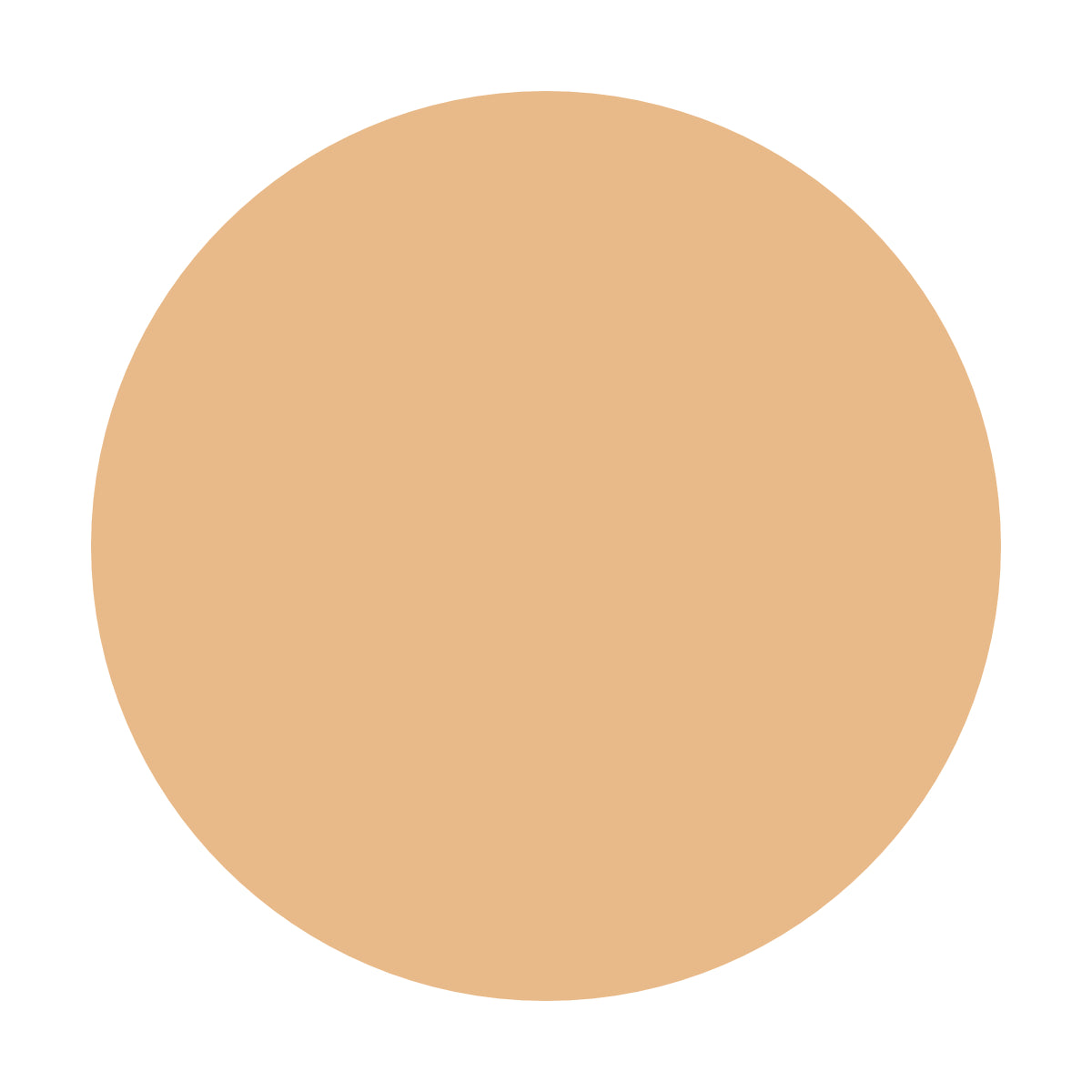 Facci Creme Total Coverage Foundation Pan